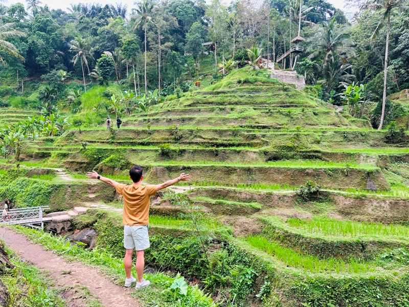uma11 Bali-Tegallalang德哥拉朗梯田 Uma Ceking Resto and Swing烏布世界文化遺產