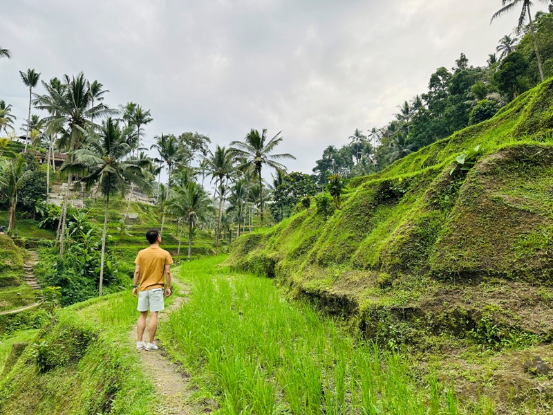 uma15 Bali-Tegallalang德哥拉朗梯田 Uma Ceking Resto and Swing烏布世界文化遺產