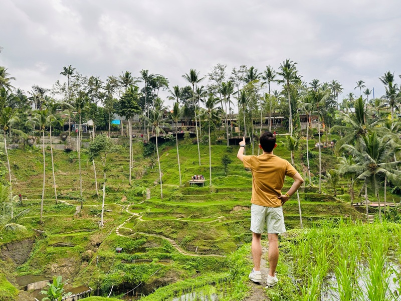 uma17 Bali-Tegallalang德哥拉朗梯田 Uma Ceking Resto and Swing烏布世界文化遺產