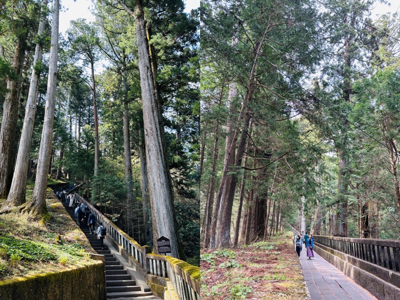 anikko260112119 Nikko-日光世界遺產遊記 by ChatGPT 華麗東照宮的猴子與貓