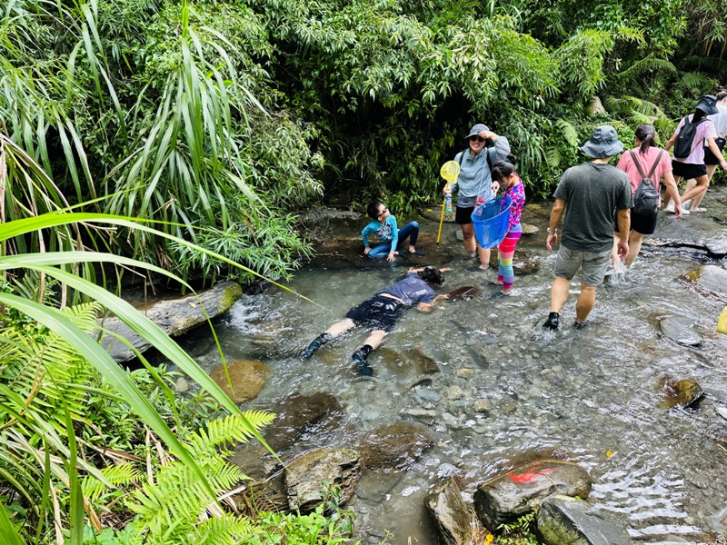 butterflywaterfall24 埔里-彩蝶瀑布 輕鬆舒適夏天最棒的行程
