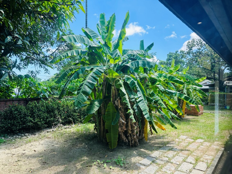 donkeylab140210112 鳳山-黃埔新村好吃好拍在驢子實驗室Donkey Lab