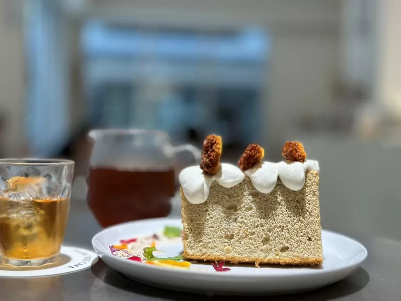 fujintreechungshan030109-jpeg 中山-富錦樹咖啡(中山店) 明亮現代好舒適