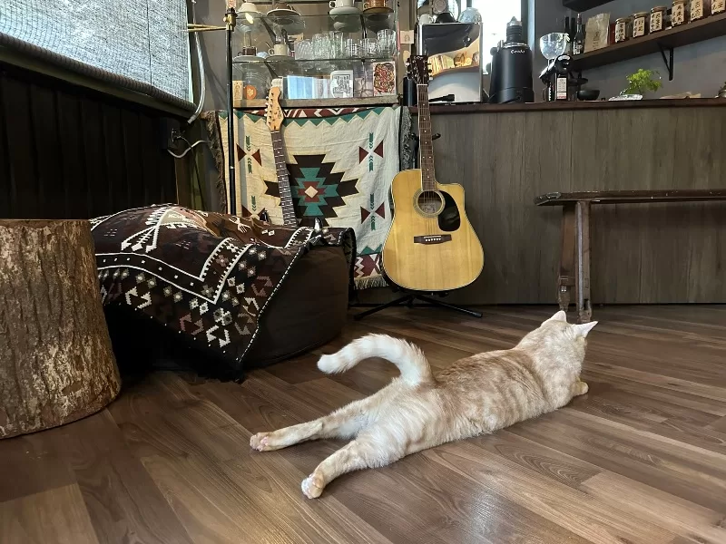 huangxu09-jpeg 萬華-荒墟咖啡烘焙所 清涼靜謐自在的小空間