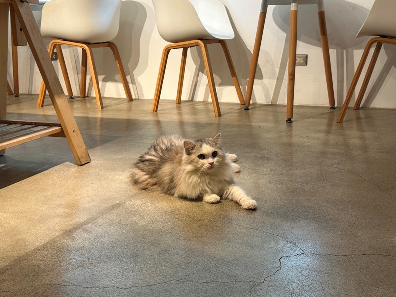 milkbar13 松山-Milk Bar by BKA喝牛奶也時尚