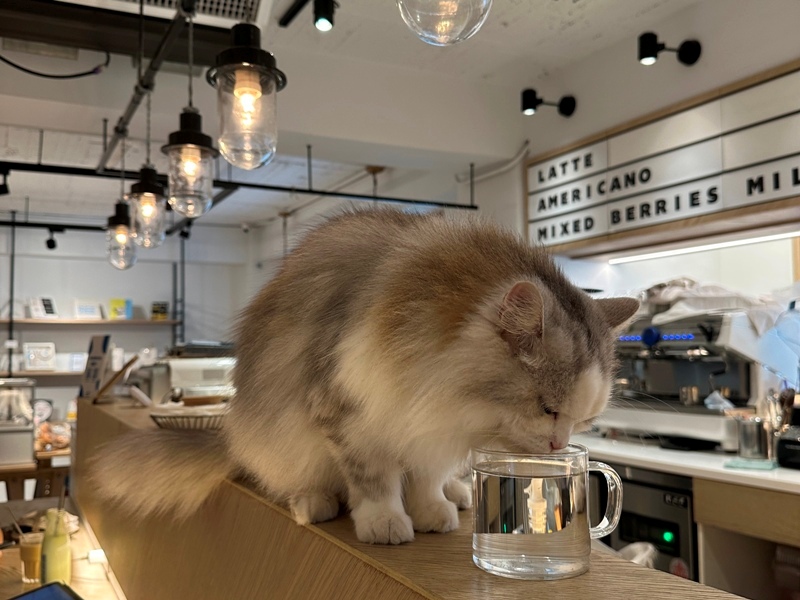 milkbar14 松山-Milk Bar by BKA喝牛奶也時尚