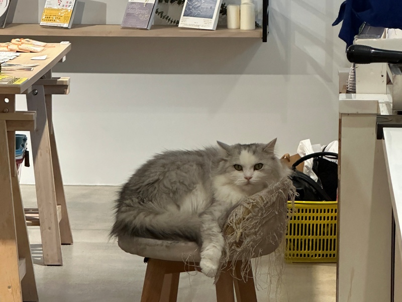 milkbar15 松山-Milk Bar by BKA喝牛奶也時尚