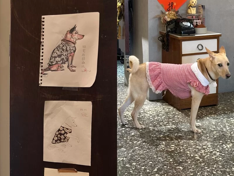 nearhomecafe7-jpeg 板橋-旧宅在 Near Home Café 早午餐好吃 店狗超可愛