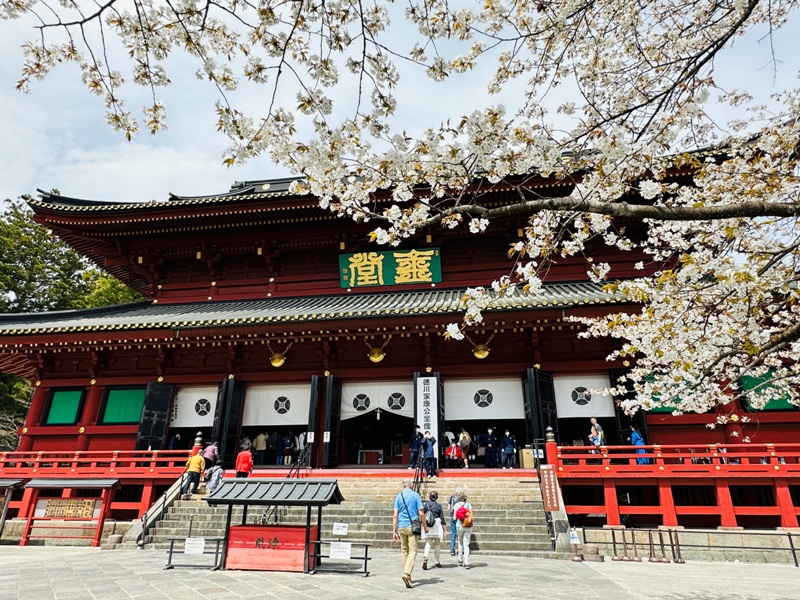 nikko260105 Nikko-日光世界遺產遊記 by ChatGPT 華麗東照宮的猴子與貓