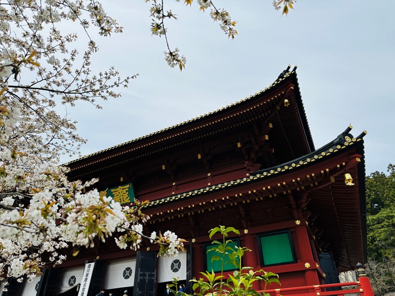 nikko260108 Nikko-日光世界遺產遊記 by ChatGPT 華麗東照宮的猴子與貓