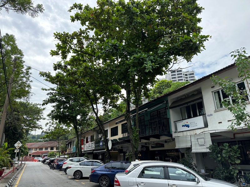 podgy070113 Kuala Lumpur-傳統社區內的咖啡香PODGY Kurau 班蘭蛋糕真搭