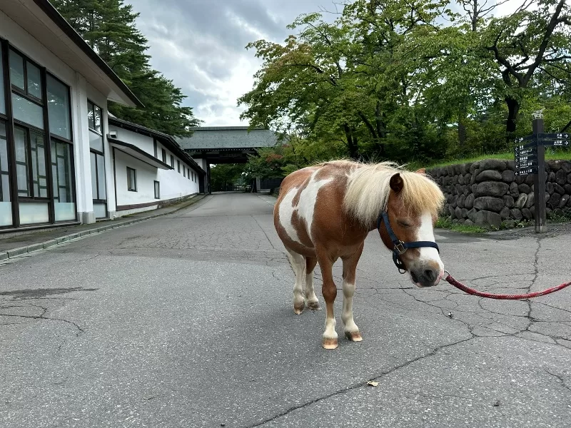 aomoriya21-jpeg Hachinohe-青森屋 一泊二食三浸 優美舒適有趣又實惠的星野飯店