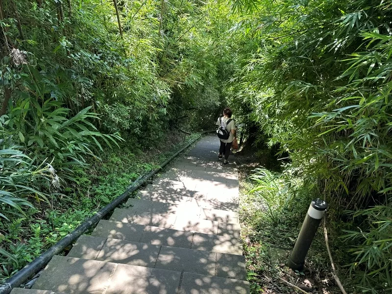 guanyinshan0108-jpeg 八里-觀音山 快速安全的夏日健行 硬漢嶺見山海景色