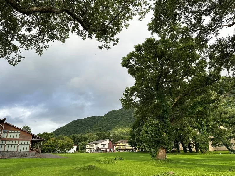 marineblue0116-jpeg Towadako-湖畔の宿 民宿和み 小巧舒適 宜人景致