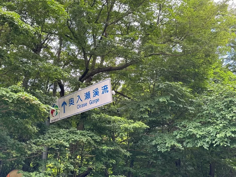 oirase02-jpeg Oirase-奧入瀨溪流 夏日盛宴 最美的溪流最清爽迷人的綠意