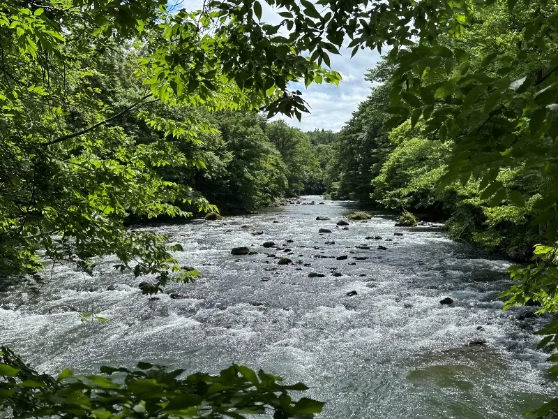 oirase04-jpeg Oirase-奧入瀨溪流 夏日盛宴 最美的溪流最清爽迷人的綠意