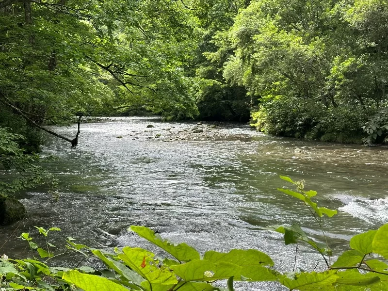 oirase06-jpeg Oirase-奧入瀨溪流 夏日盛宴 最美的溪流最清爽迷人的綠意