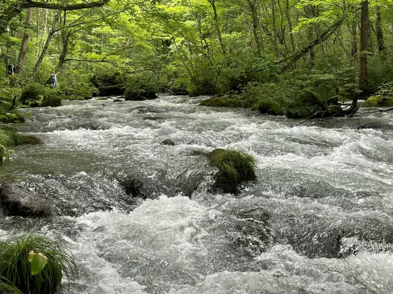 oirase08-jpeg Oirase-奧入瀨溪流 夏日盛宴 最美的溪流最清爽迷人的綠意