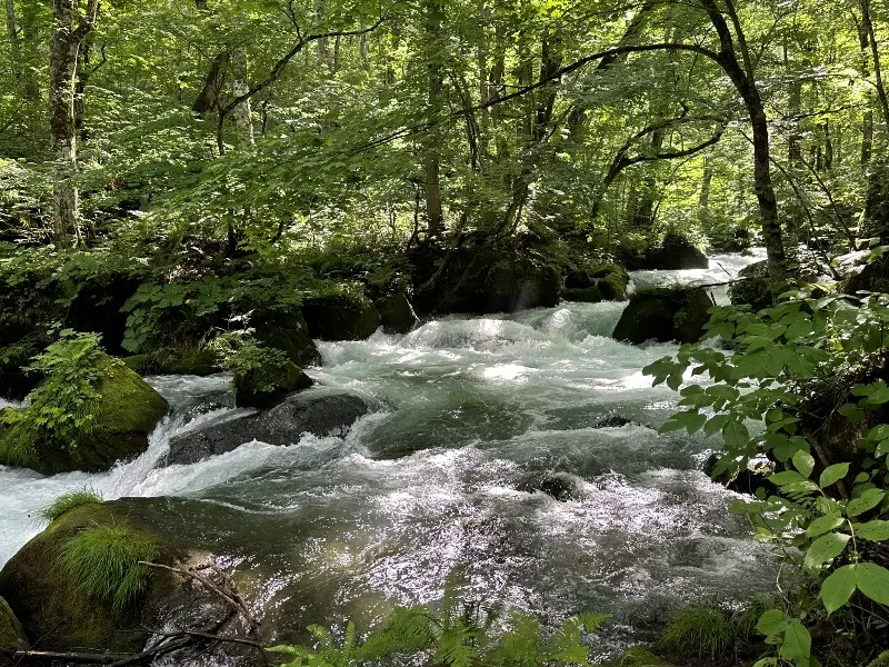 oirase12-jpeg Oirase-奧入瀨溪流 夏日盛宴 最美的溪流最清爽迷人的綠意