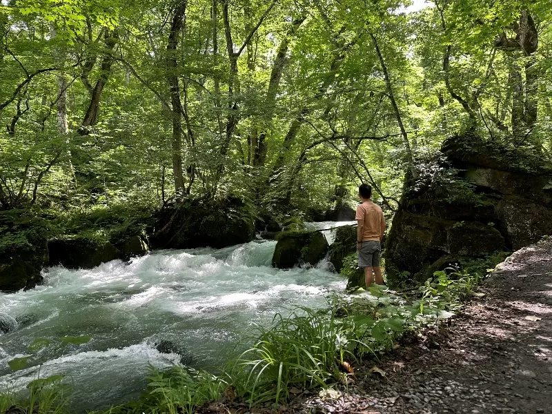 oirase14-jpeg Oirase-奧入瀨溪流 夏日盛宴 最美的溪流最清爽迷人的綠意