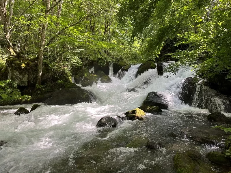 oirase15-jpeg Oirase-奧入瀨溪流 夏日盛宴 最美的溪流最清爽迷人的綠意