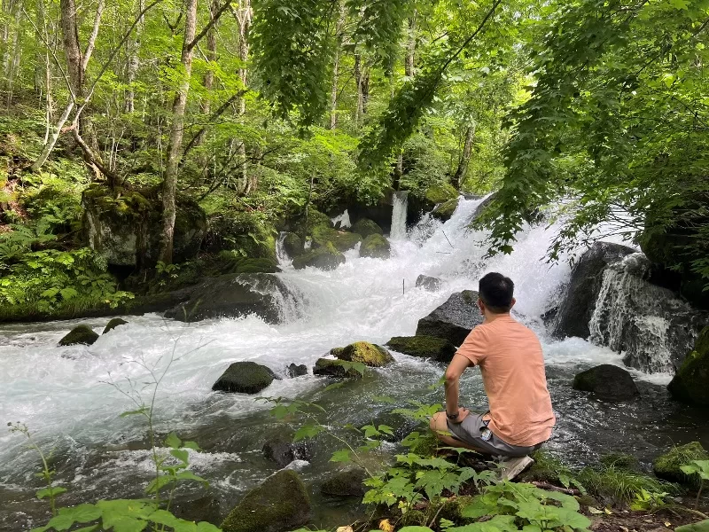 oirase16-jpeg Oirase-奧入瀨溪流 夏日盛宴 最美的溪流最清爽迷人的綠意