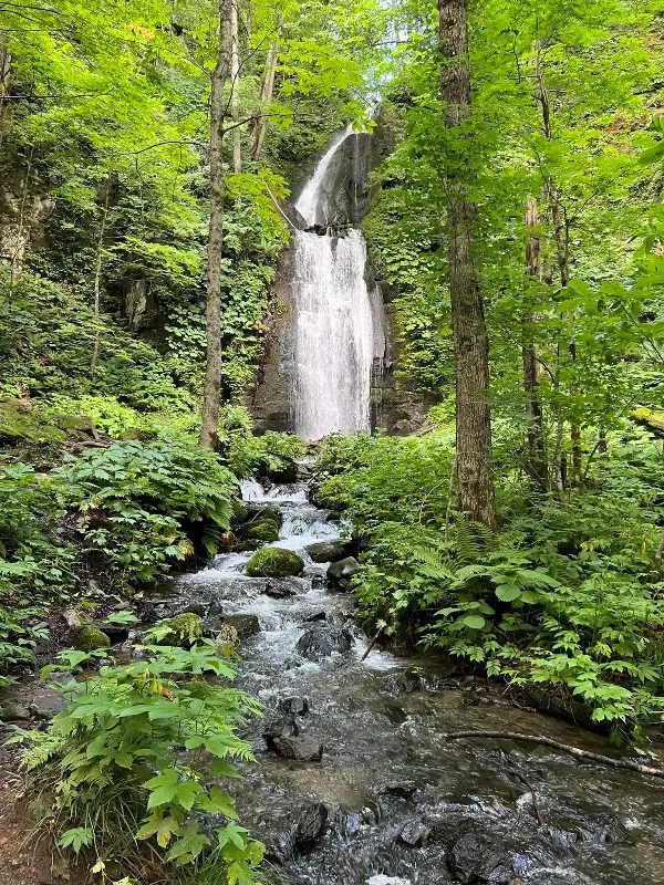 oirase17-jpeg Oirase-奧入瀨溪流 夏日盛宴 最美的溪流最清爽迷人的綠意