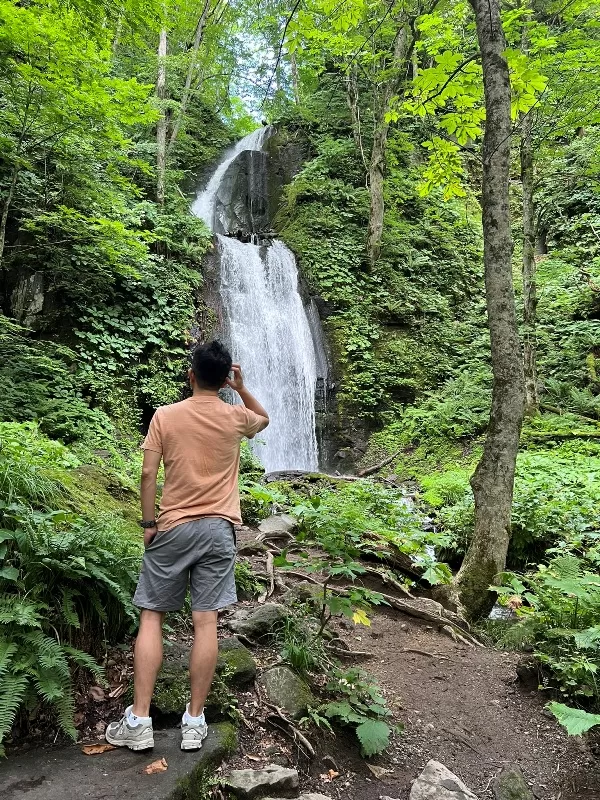 oirase18-jpeg Oirase-奧入瀨溪流 夏日盛宴 最美的溪流最清爽迷人的綠意