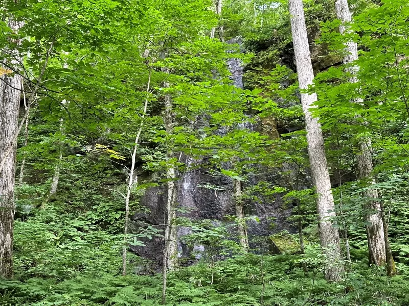 oirase20-jpeg Oirase-奧入瀨溪流 夏日盛宴 最美的溪流最清爽迷人的綠意