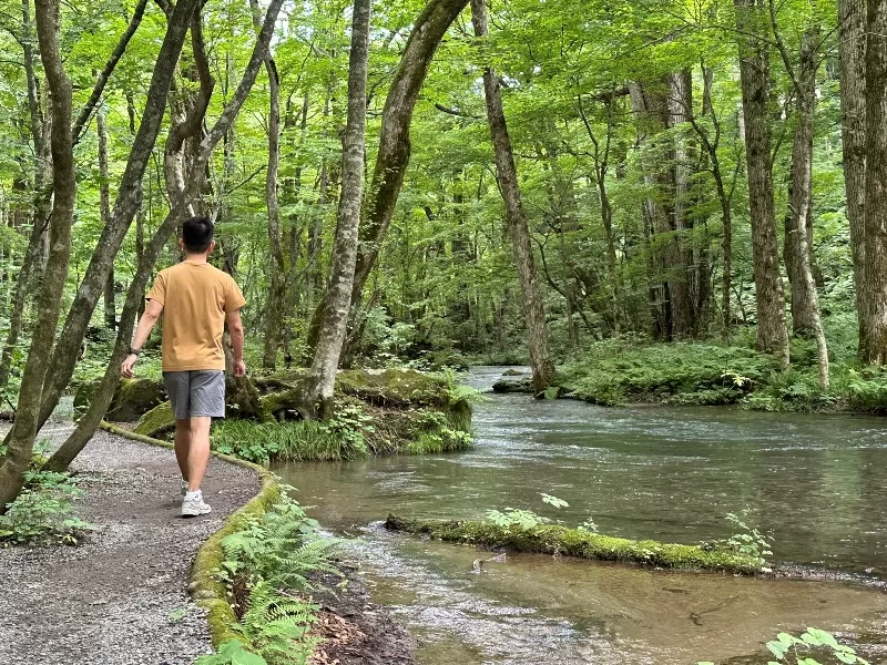 oirase23-jpeg Oirase-奧入瀨溪流 夏日盛宴 最美的溪流最清爽迷人的綠意