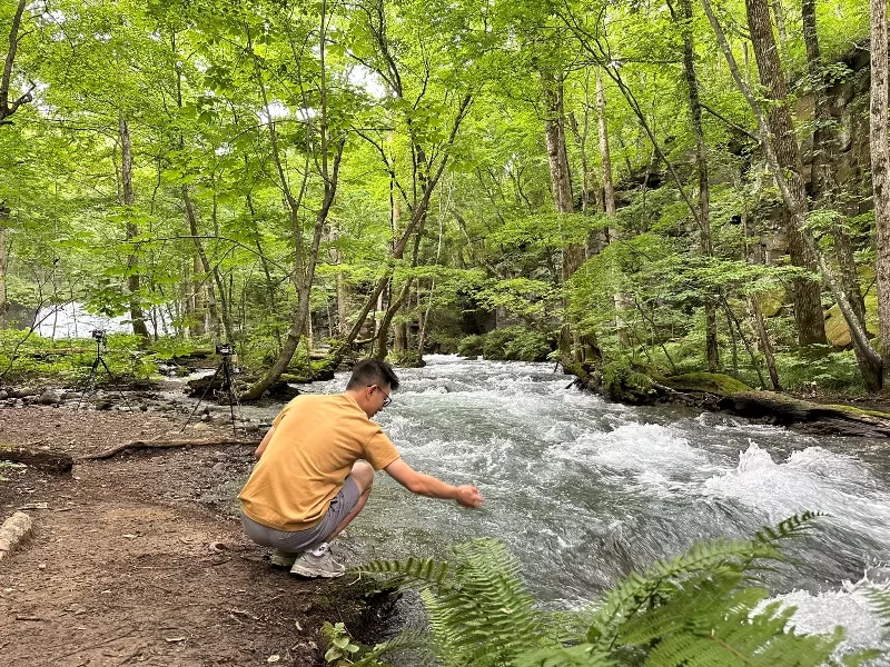 oirase28-jpeg Oirase-奧入瀨溪流 夏日盛宴 最美的溪流最清爽迷人的綠意