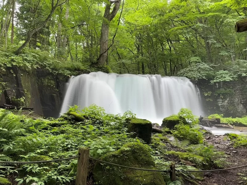 oirase30-jpeg Oirase-奧入瀨溪流 夏日盛宴 最美的溪流最清爽迷人的綠意