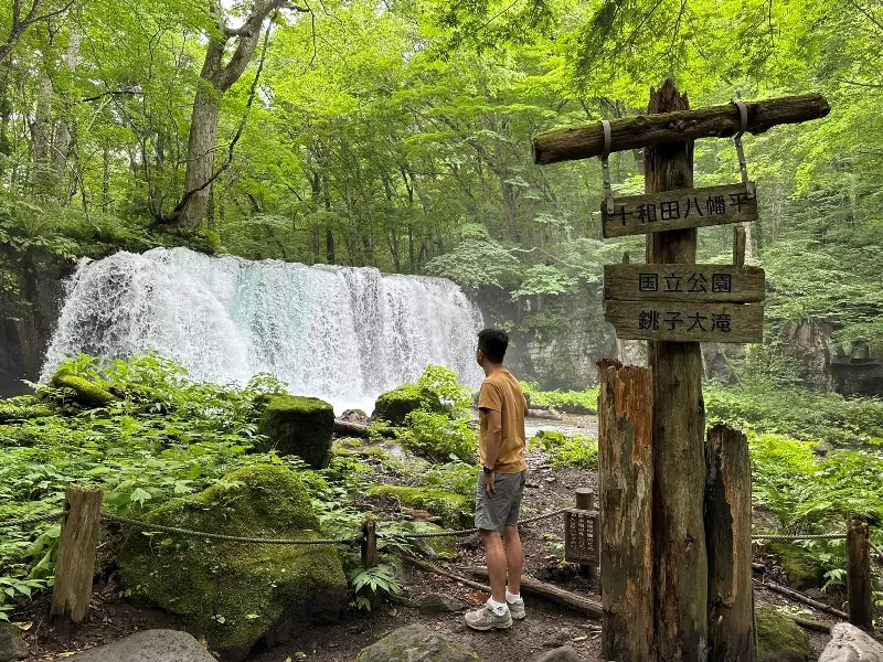 Oirase-奧入瀨溪流 夏日盛宴 最美的溪流最清爽迷人的綠意 Oirase-奧入瀨溪流 夏日盛宴 最美的溪流最清爽迷人的綠意