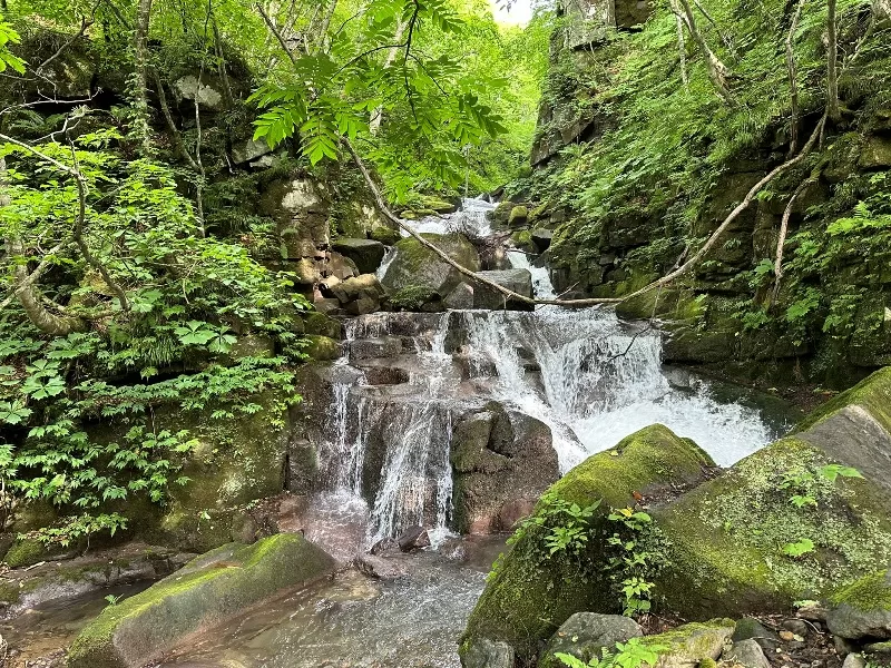 oirase32-jpeg Oirase-奧入瀨溪流 夏日盛宴 最美的溪流最清爽迷人的綠意