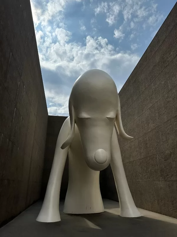 aomoriken17-jpeg Aomori-青森美術館 鎮館之寶青森犬