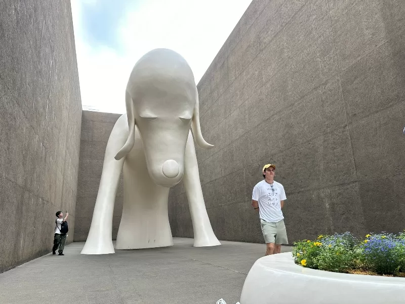 aomoriken19-jpeg Aomori-青森美術館 鎮館之寶青森犬