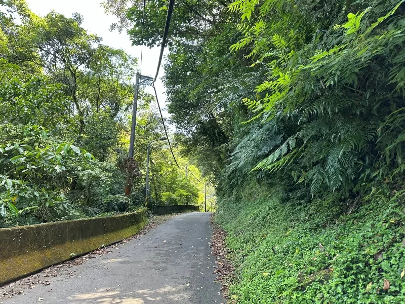 mterger00102-jpeg 石碇-二格山 輕鬆快速宜人郊山 賞101與翡翠水庫