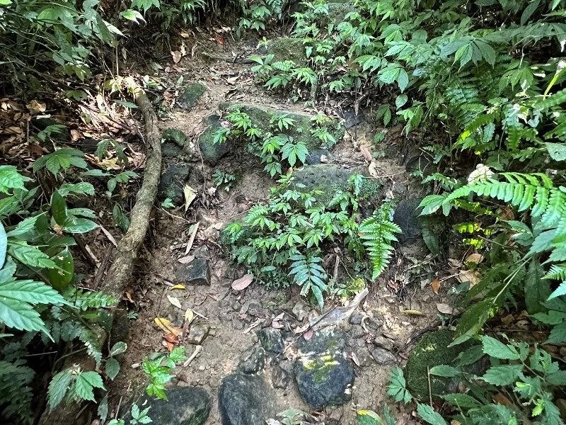 mterger00105-jpeg 石碇-二格山 輕鬆快速宜人郊山 賞101與翡翠水庫