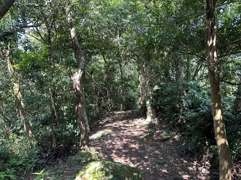 mterger00106-jpeg 石碇-二格山 輕鬆快速宜人郊山 賞101與翡翠水庫