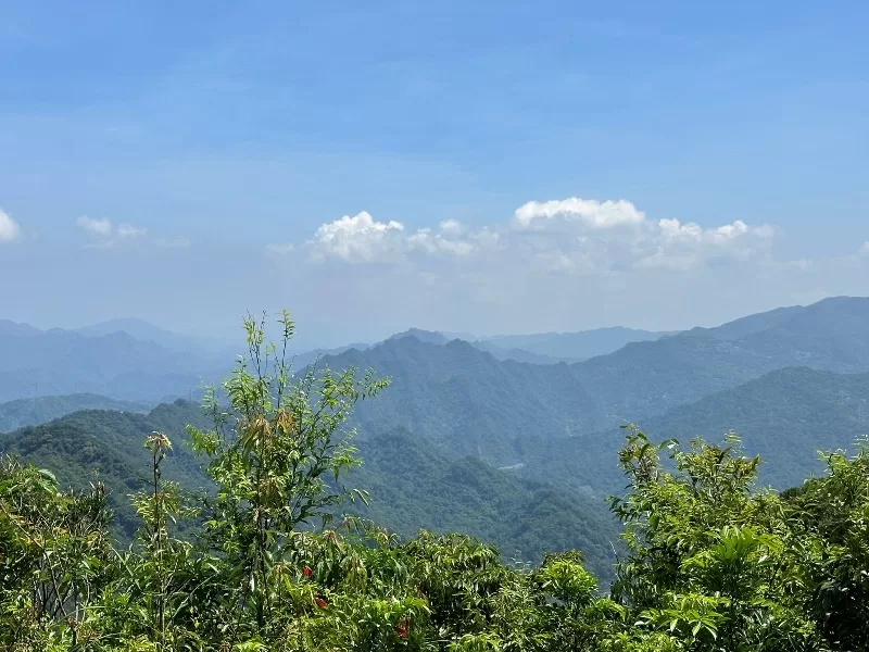 mterger00116-jpeg 石碇-二格山 輕鬆快速宜人郊山 賞101與翡翠水庫