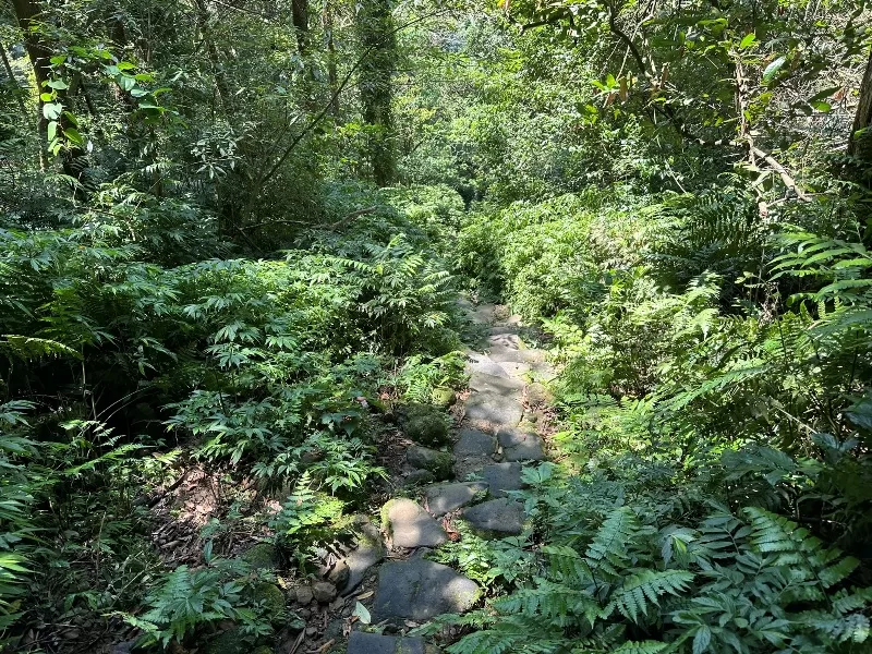 mterger00122-jpeg 石碇-二格山 輕鬆快速宜人郊山 賞101與翡翠水庫