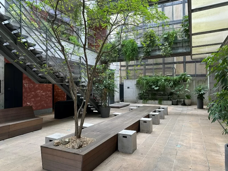 neel11-jpeg Harajuku-Neel 神宮前 人氣酪梨咖啡館