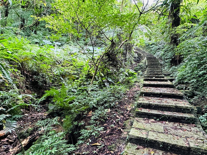 Tukuyue14 深坑-初秋的土庫岳 清爽舒適愜意的健行
