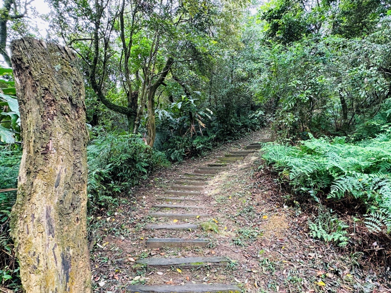 Tukuyue16 深坑-初秋的土庫岳 清爽舒適愜意的健行