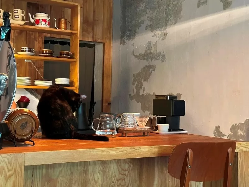 springunderneath0110-jpeg 平溪-羊水咖啡 微笑嶺腳車站新亮點 用杯咖啡終結疲勞