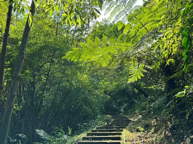 xiaozi0103-jpeg 平溪-孝子山/慈母峰/普陀山 舒爽秋日的最適解