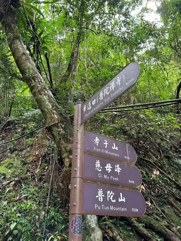 xiaozi0107-jpeg 平溪-孝子山/慈母峰/普陀山 舒爽秋日的最適解