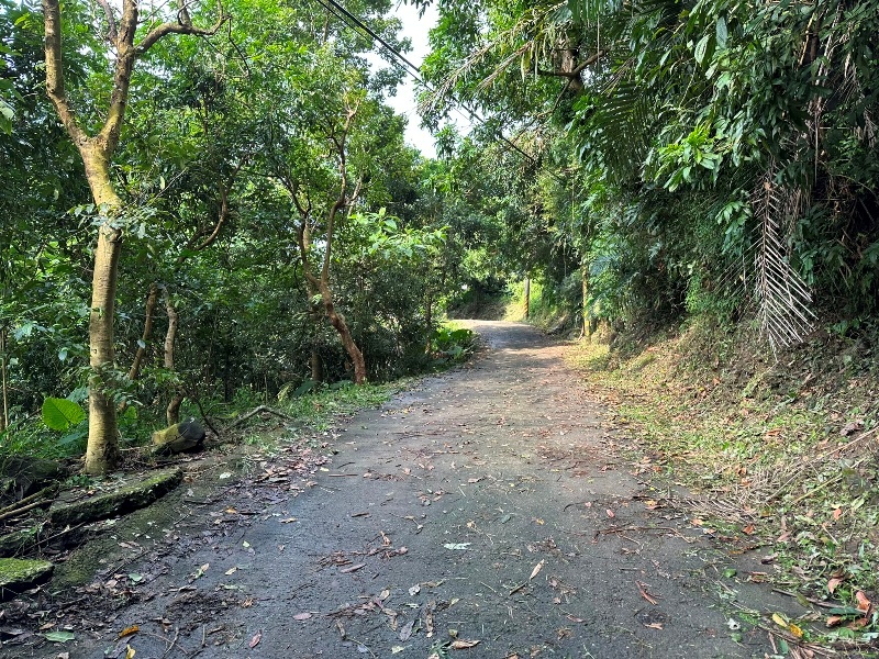 aa30 南化-刣牛湖山 荒煙漫草 冷門小百岳