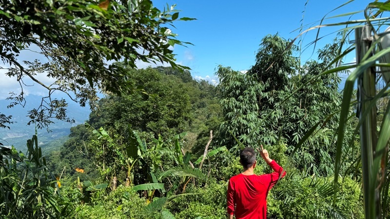 chungniuhu07 南化-刣牛湖山 荒煙漫草 冷門小百岳