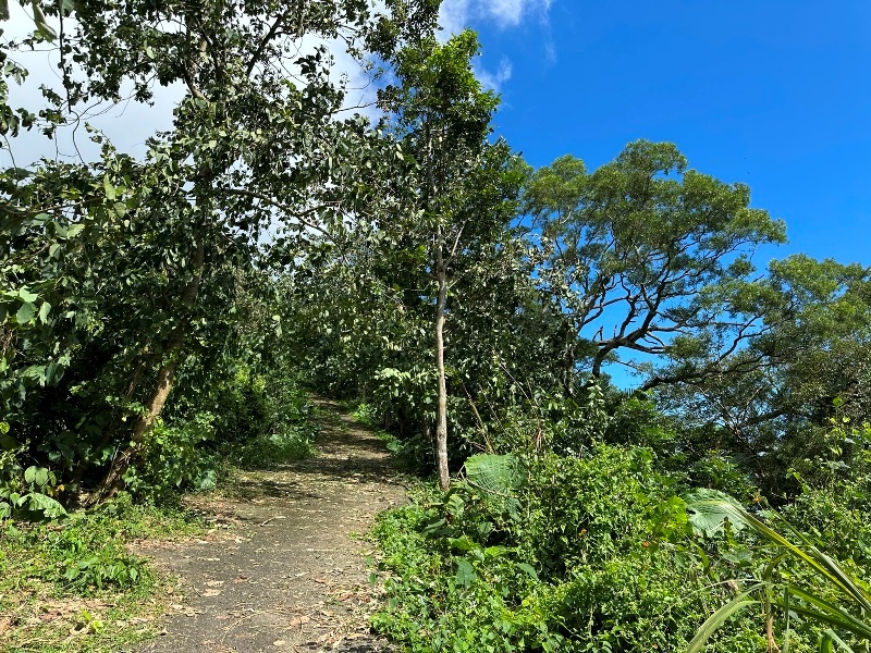 chungniuhu08 南化-刣牛湖山 荒煙漫草 冷門小百岳